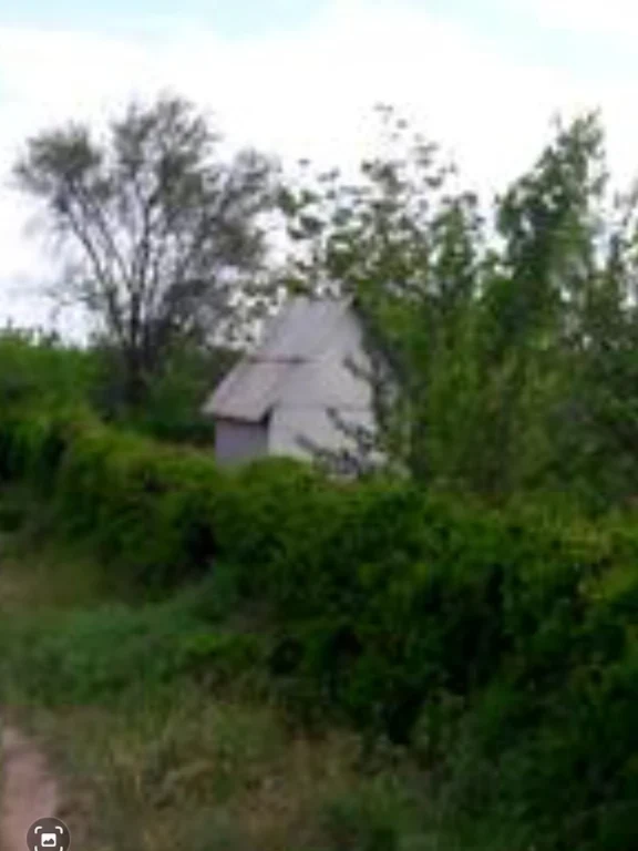 Sale of Land for Agricultural Purposes Dniprovsky