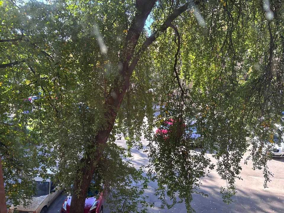 2-room apartment. Kyiv, Yerevan Street.
