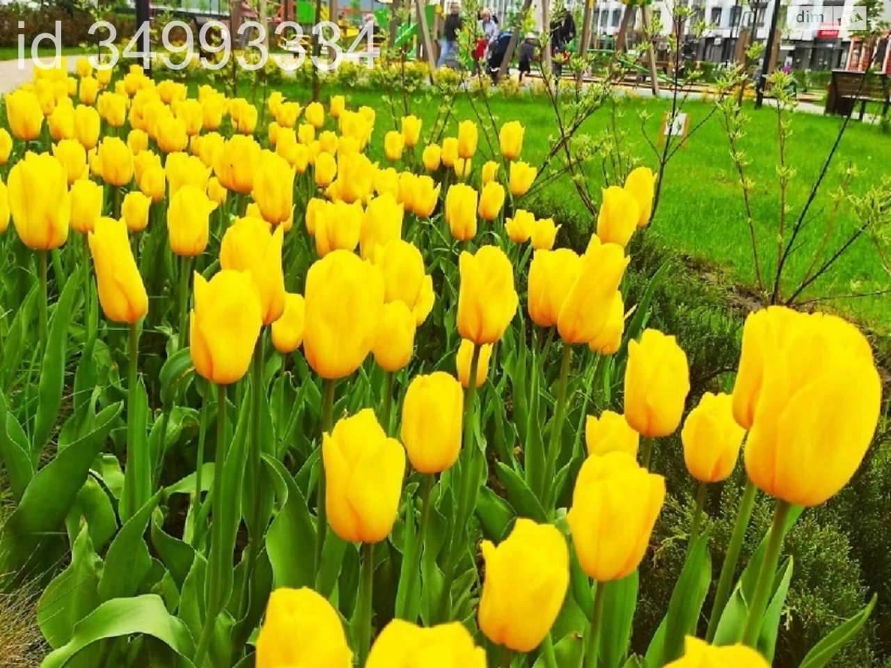 Long-Term Rental Apartment Podilskyi