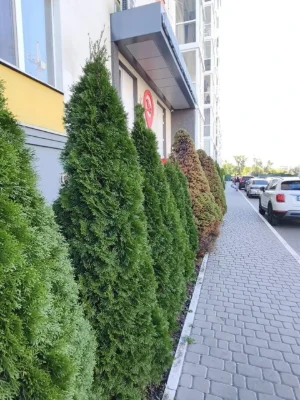 Долгосрочная Аренда Квартира в Павловке
