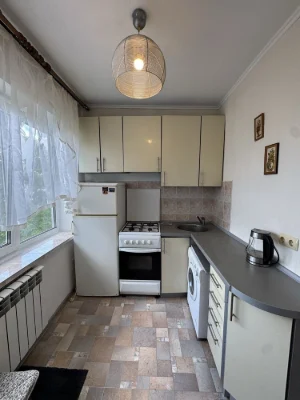 For rent a cozy 1-room apartment on Voskresenka