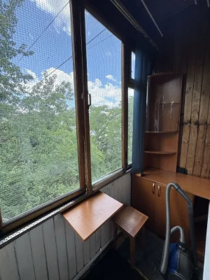 For rent a cozy 1-room apartment on Voskresenka