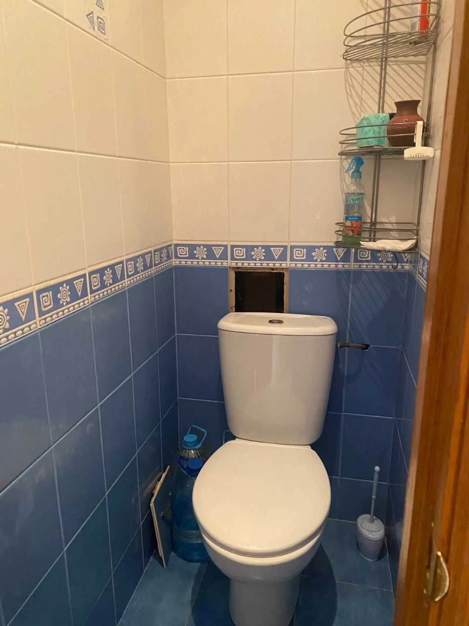 Rent Vinogradar, pr-kt Hongadze 20d, cozy, bright 2-room