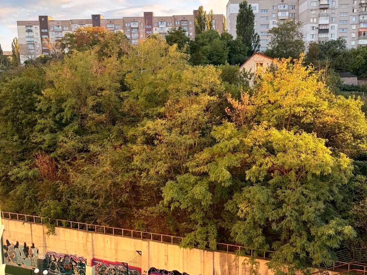 Rent of a 1-room apartment 64 sq m 8/24 floor