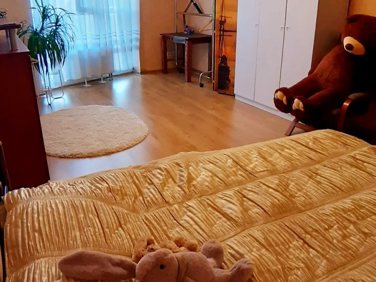Rent of a 1-room apartment 43 sq m on the 4th floor of a 24-story building