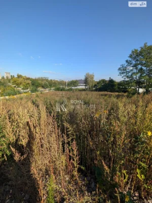 Sale of agricultural land in Zhuliany