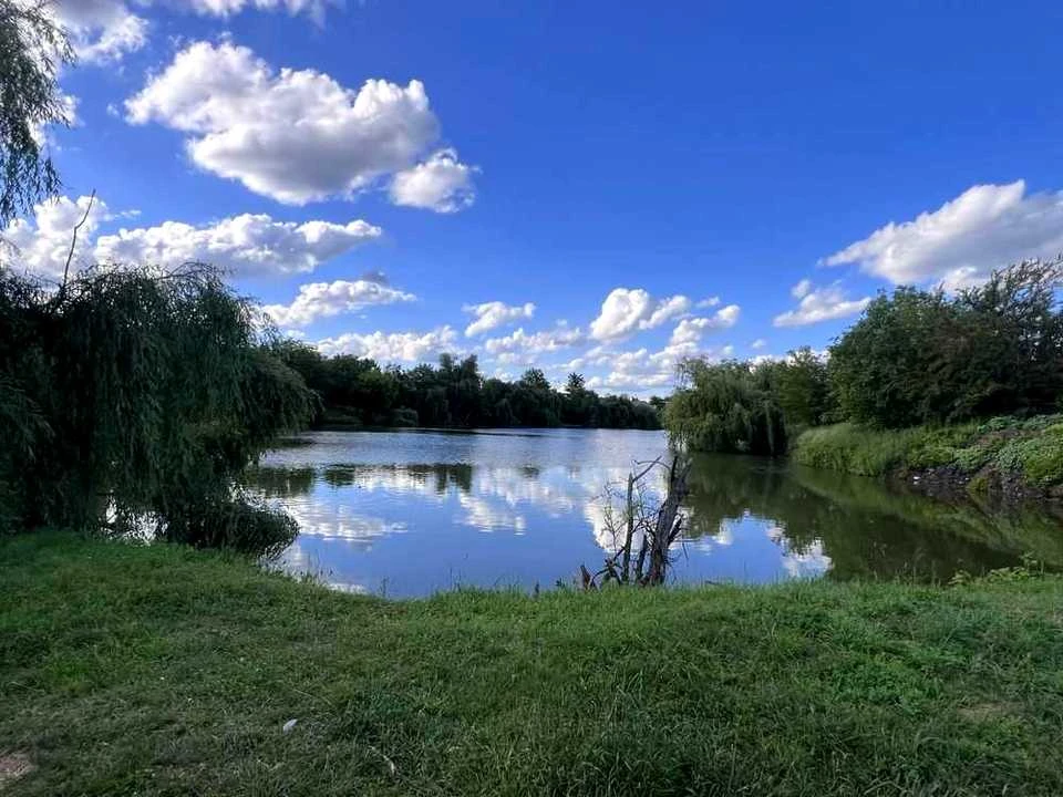 Будинок. Полтава, Новорибцівський пров.