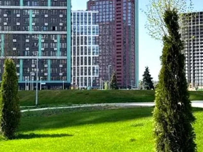 One-room apartment. Viktor Nekrasova St.