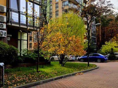 Квартира. Київ, Анатолія Петрицького вул.