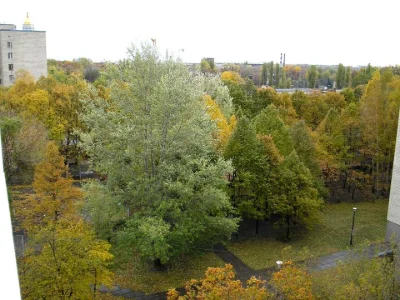 Квартира. Київ, Михайла Омеляновича-Павленка вул.