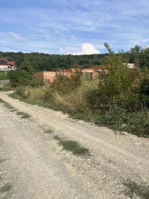 Червениця рівна ділянка 9 сот