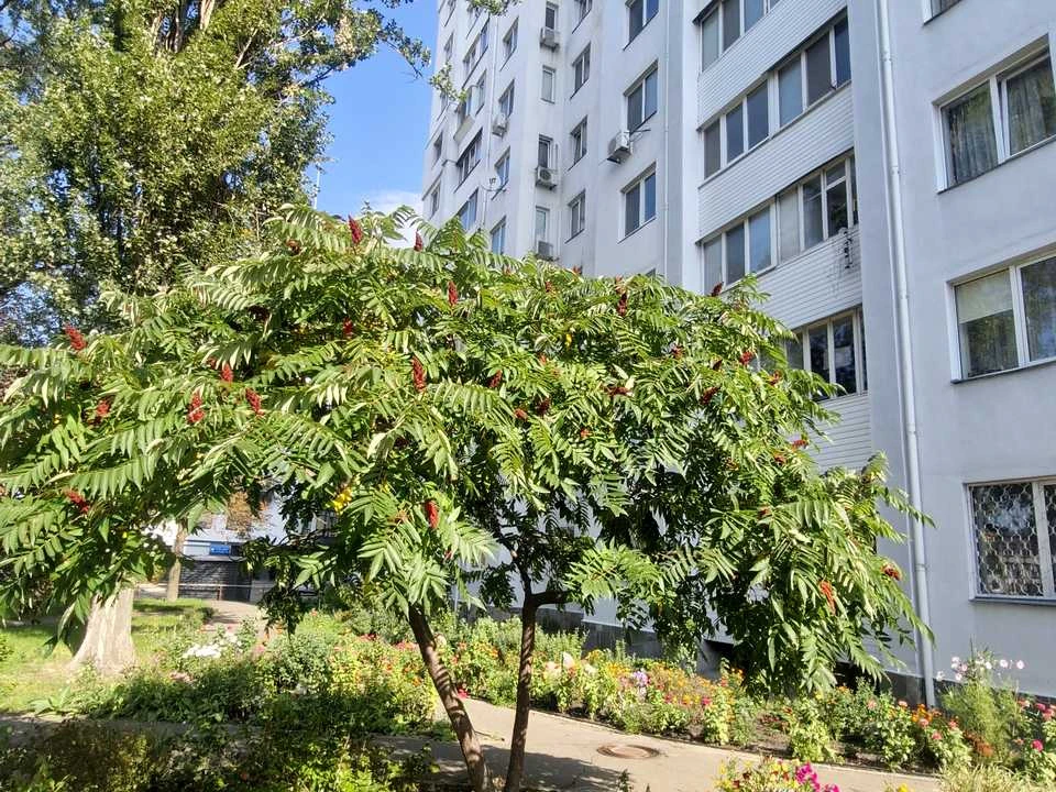 Квартира. Київ, Юності вул.