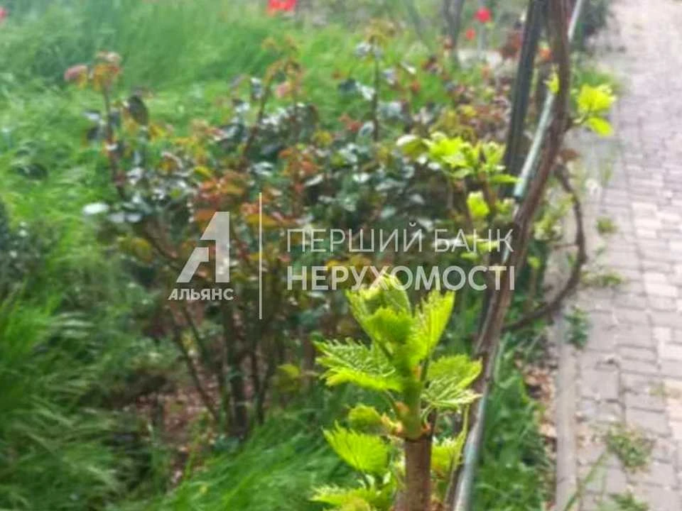 Будинок. Одеса, Велика Садова вул.