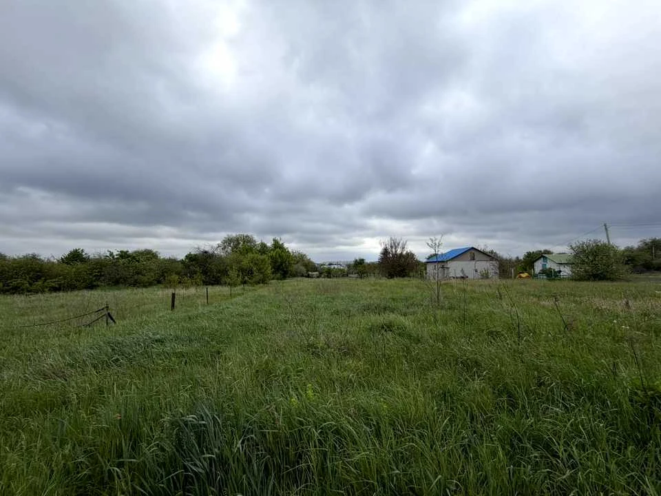 Ділянка. Полтава, Перепелина