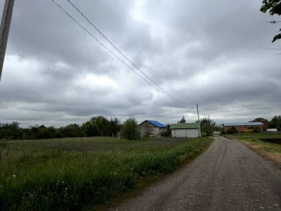 Ділянка. Полтава, Перепелина