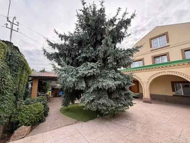 Продам большой дом для семьи в Краснополье — 290 м²