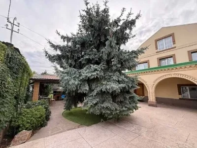 Продам большой дом для семьи в Краснополье — 290 м²