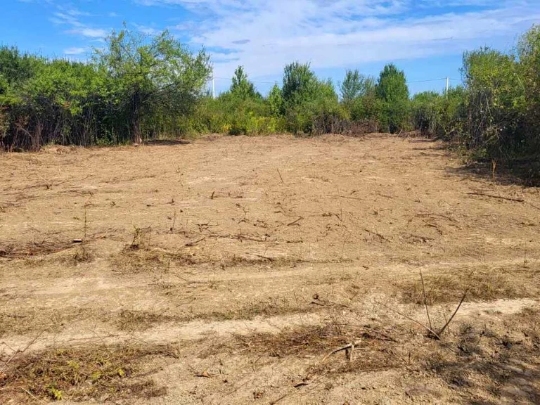Land. Uzhgorod, Yaroslava Mudroho St.