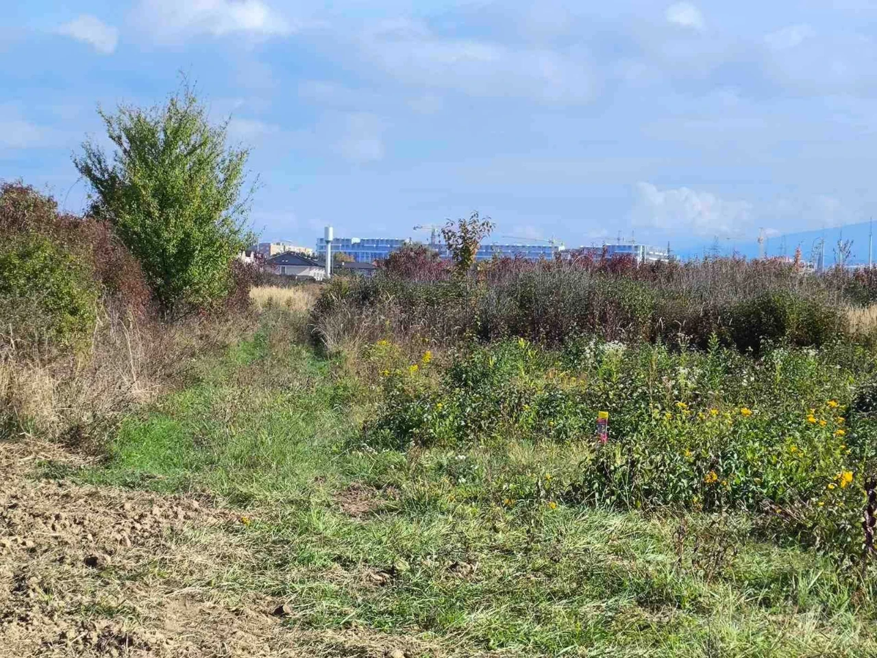 Sale of a plot of 45 acres