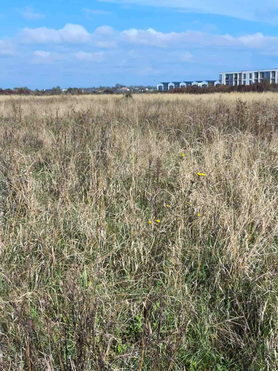 Sale of a plot of 45 acres