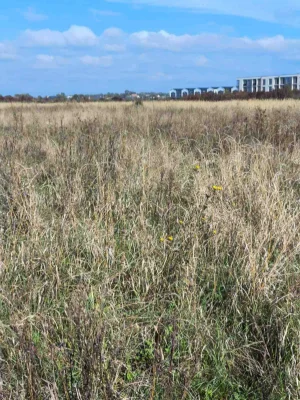 Sale of a plot of 45 acres