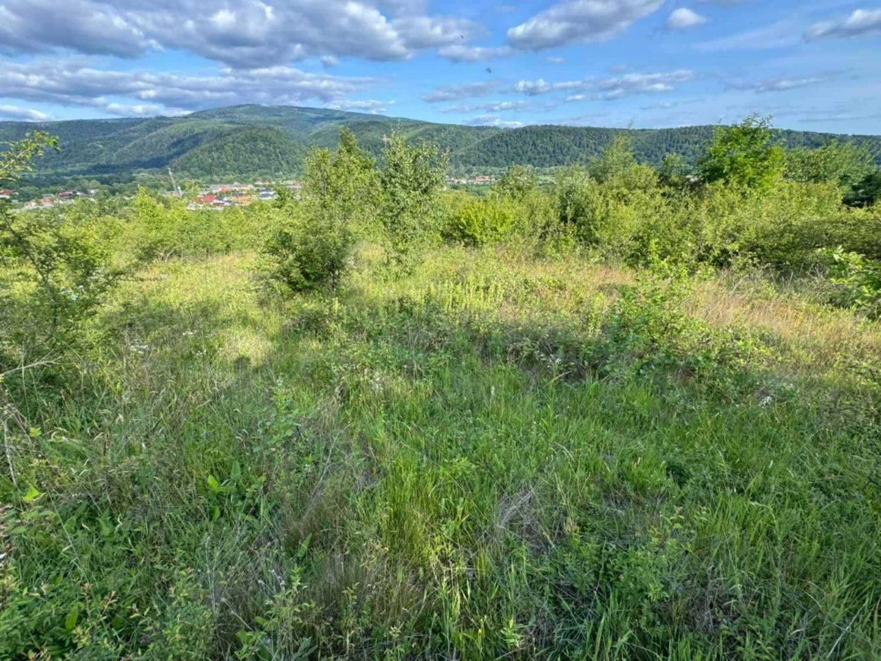 Sale of land plots with view of Nevitsky Castle. 18 acres