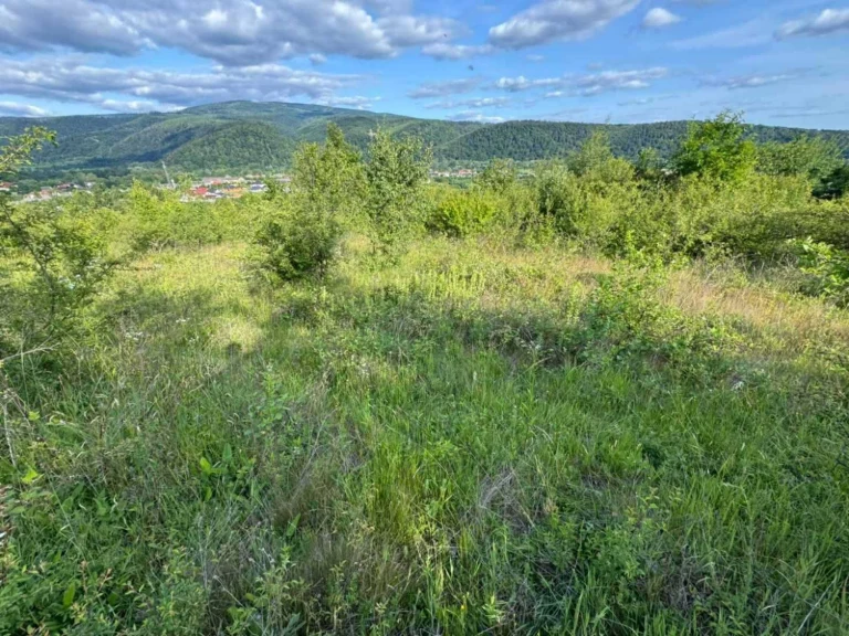 Sale of land plots with view of Nevitsky Castle. 18 acres
