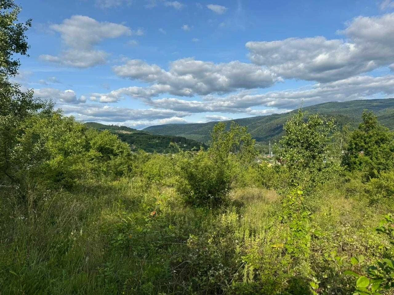 Sale of land plots with view of Nevitsky Castle. 18 acres