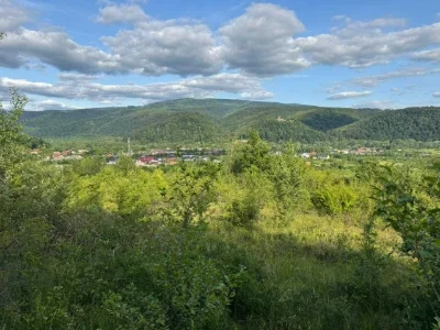 Sale of land plots with view of Nevitsky Castle. 18 acres
