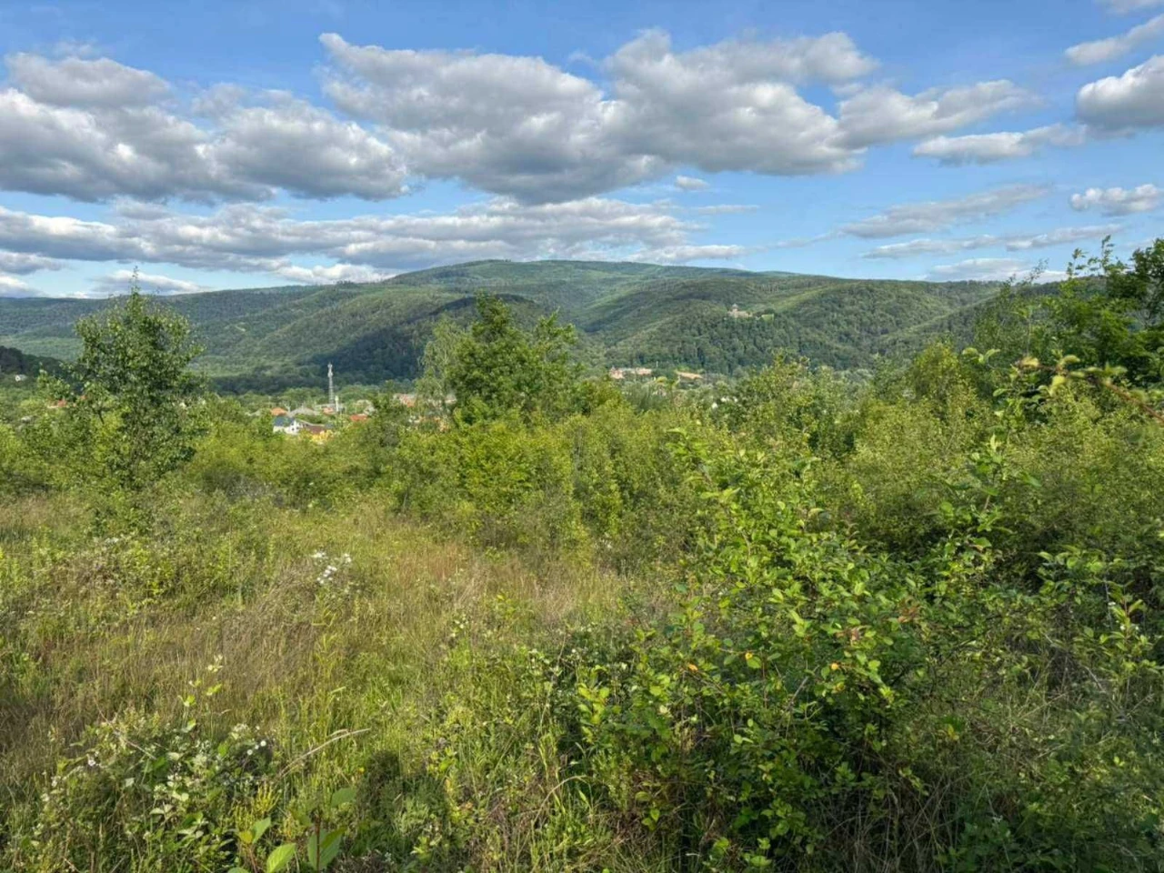 Sale of land plots with view of Nevitsky Castle. 18 acres