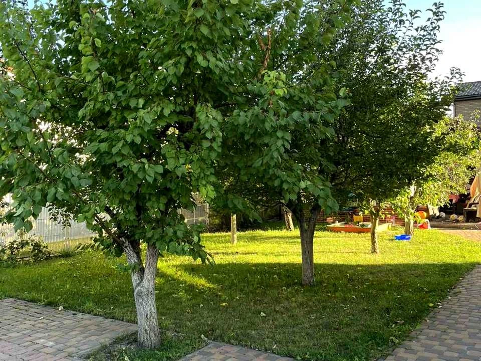 Будинок. Київ, Вишнева вул.
