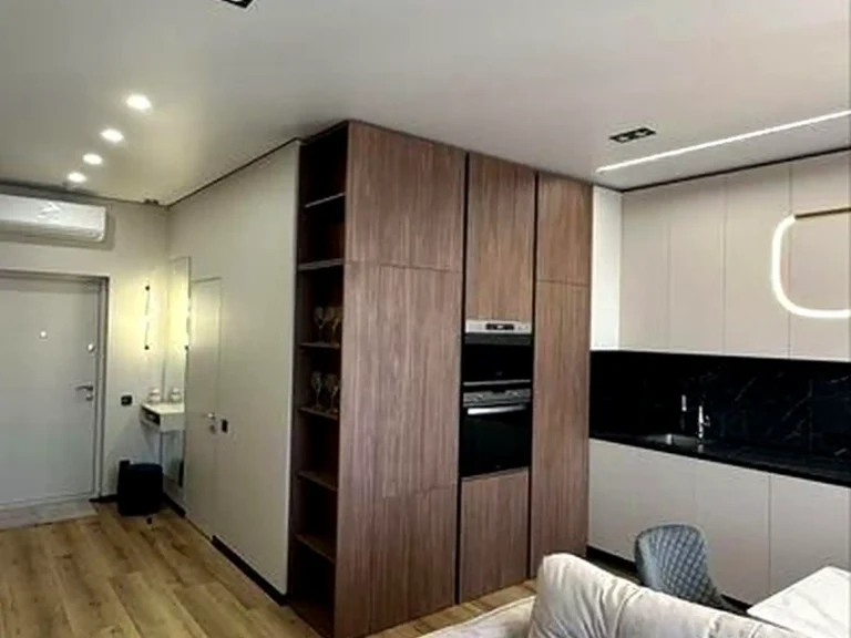 Rent of a 1-room apartment 52 sq. m 22/26 floor