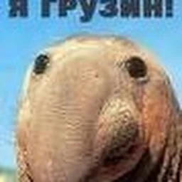 Иван Бережной
