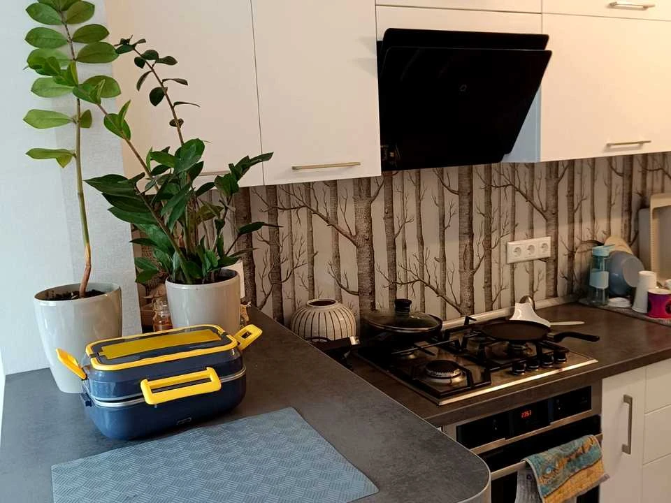 Apartment. Польова St.