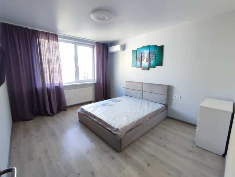 Rent 1-room apartment 45 sq m, Rodyny Kryste, 20