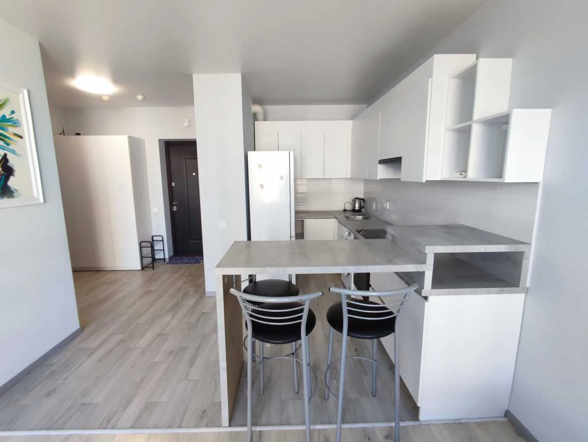 Rent 1-room apartment 45 sq m, Rodyny Kryste, 20