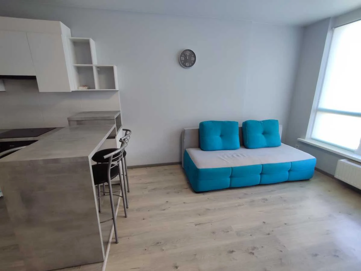 Rent 1-room apartment 45 sq m, Rodyny Kryste, 20