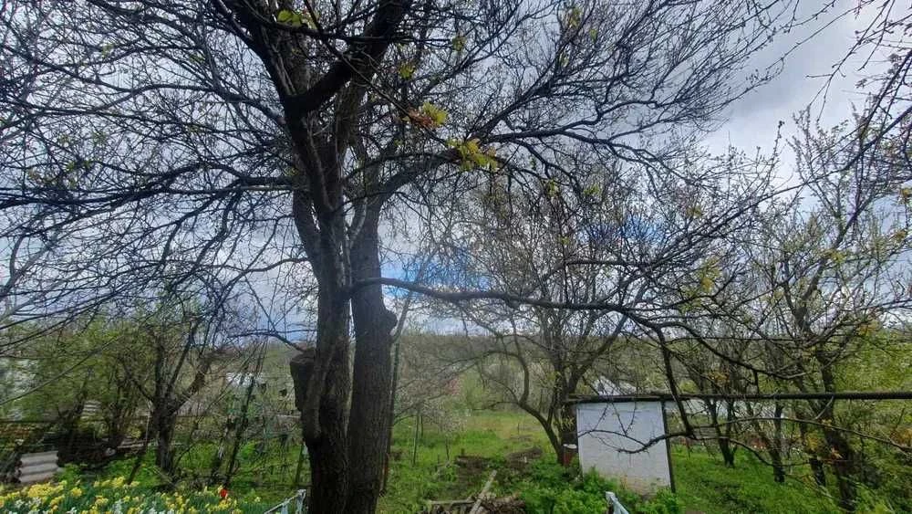 Продам дом Диевка-1, три комнаты, газовое отопление, мебель