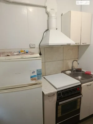 Long Term Rent Apartment Luzanivka
