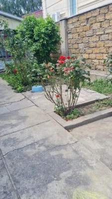 Продам дом на большом участке 14 сот на Ленпоселке.