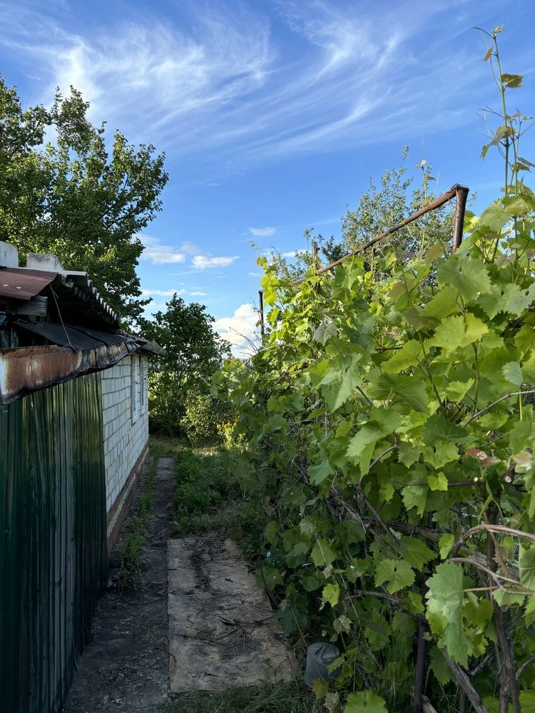 Продам дачу на Рассвете (Світанок)