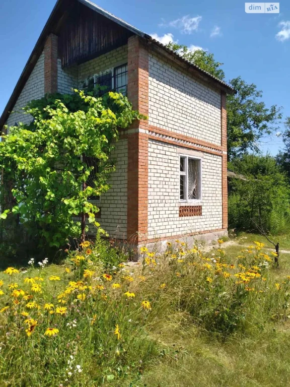 Продаж Земля сільськогосподарського призначення Вороніна