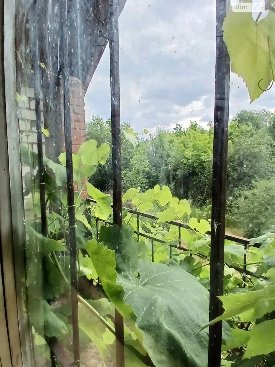 Продаж Земля сільськогосподарського призначення Вороніна