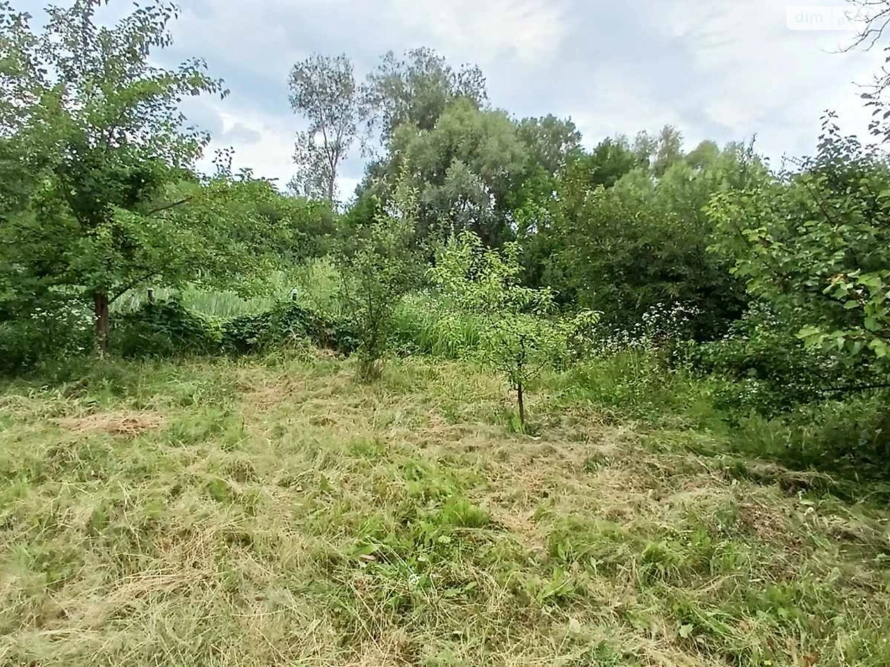 Продаж Земля сільськогосподарського призначення Вороніна