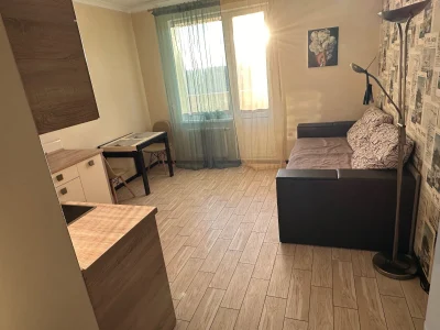 Rent of an apartment in Kyiv