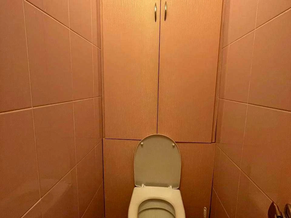 Apartment. Kyiv, Myloslavska St.
