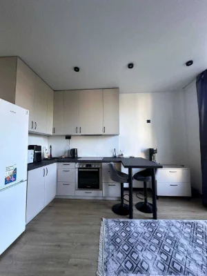 Rent of an apartment in m. Nivki
