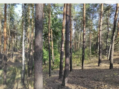 Довгострокова Оренда Квартира Теремки-2