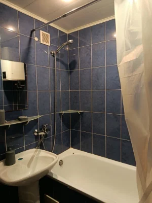 I am renting a cozy 1-room apartment near the Drogoshytsia metro station