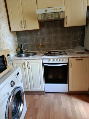 I am renting a cozy 1-room apartment near the Drogoshytsia metro station